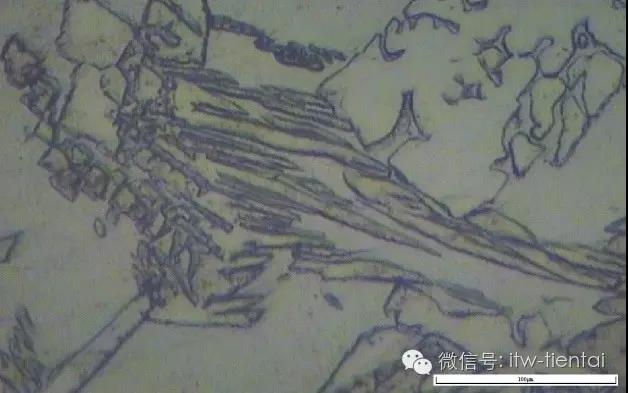 zoty中欧·(中国)体育官方网站