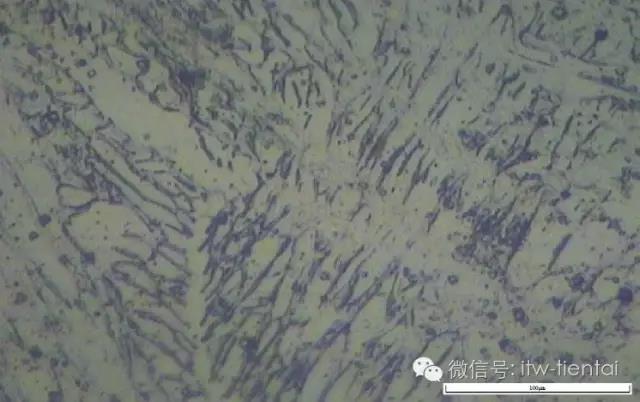 zoty中欧·(中国)体育官方网站